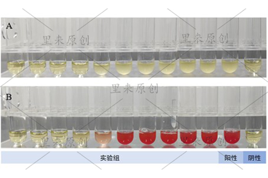 腾博会官网·专业效劳,诚信为本