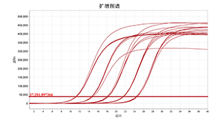 腾博会官网·专业效劳,诚信为本